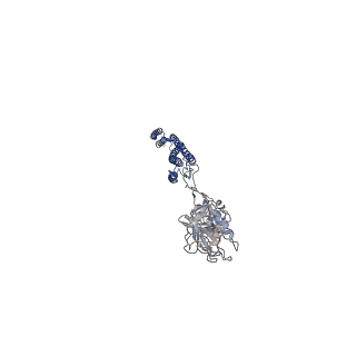25382_7sqd_K_v1-1
Cryo-EM structure of the Achromobacter flagellar filament