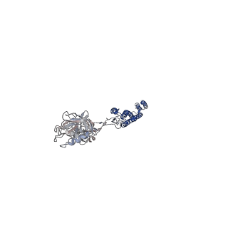 25382_7sqd_L_v1-1
Cryo-EM structure of the Achromobacter flagellar filament