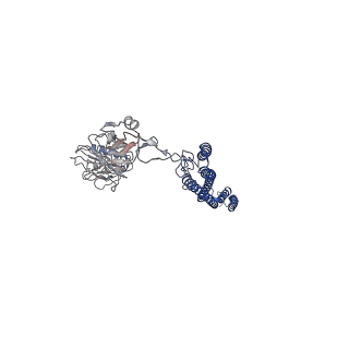 25382_7sqd_Q_v1-1
Cryo-EM structure of the Achromobacter flagellar filament