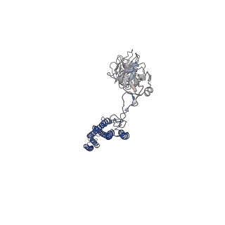 25382_7sqd_R_v1-1
Cryo-EM structure of the Achromobacter flagellar filament
