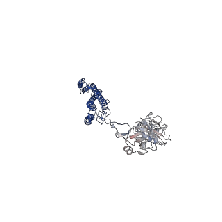 25382_7sqd_S_v1-1
Cryo-EM structure of the Achromobacter flagellar filament