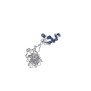 25382_7sqd_T_v1-1
Cryo-EM structure of the Achromobacter flagellar filament