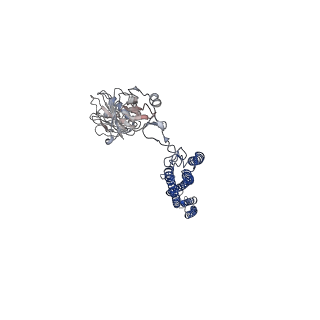 25382_7sqd_U_v1-1
Cryo-EM structure of the Achromobacter flagellar filament