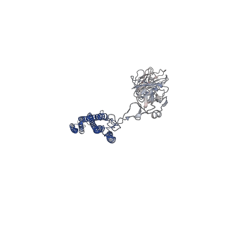 25382_7sqd_V_v1-1
Cryo-EM structure of the Achromobacter flagellar filament