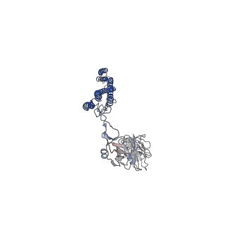 25382_7sqd_W_v1-1
Cryo-EM structure of the Achromobacter flagellar filament