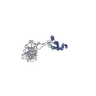 25382_7sqd_X_v1-1
Cryo-EM structure of the Achromobacter flagellar filament