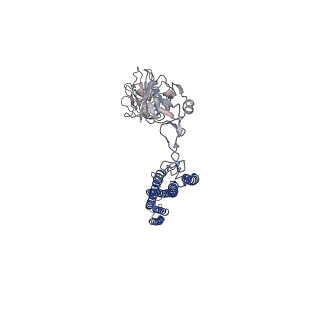25382_7sqd_Y_v1-1
Cryo-EM structure of the Achromobacter flagellar filament