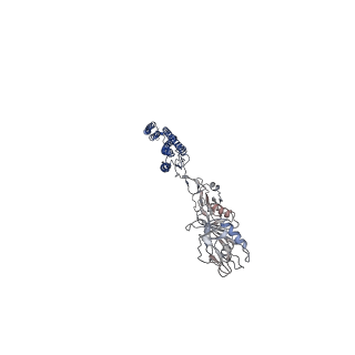 25382_7sqd_a_v1-1
Cryo-EM structure of the Achromobacter flagellar filament