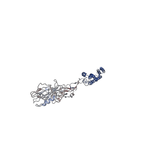25382_7sqd_b_v1-1
Cryo-EM structure of the Achromobacter flagellar filament