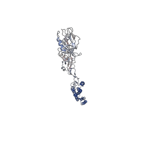 25382_7sqd_c_v1-1
Cryo-EM structure of the Achromobacter flagellar filament