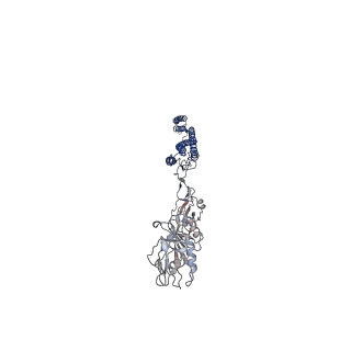 25382_7sqd_e_v1-1
Cryo-EM structure of the Achromobacter flagellar filament