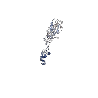 25382_7sqd_g_v1-1
Cryo-EM structure of the Achromobacter flagellar filament