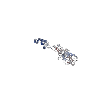 25382_7sqd_h_v1-1
Cryo-EM structure of the Achromobacter flagellar filament