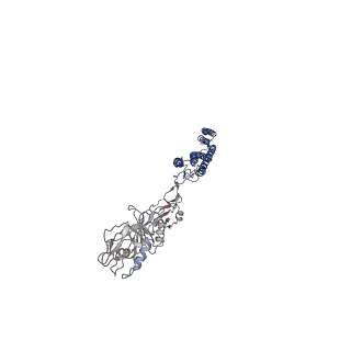 25382_7sqd_i_v1-1
Cryo-EM structure of the Achromobacter flagellar filament