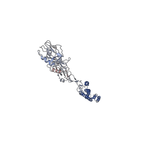 25382_7sqd_j_v1-1
Cryo-EM structure of the Achromobacter flagellar filament