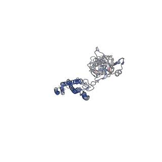 25382_7sqd_l_v1-1
Cryo-EM structure of the Achromobacter flagellar filament
