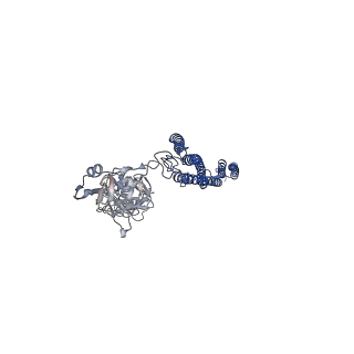 25382_7sqd_n_v1-1
Cryo-EM structure of the Achromobacter flagellar filament