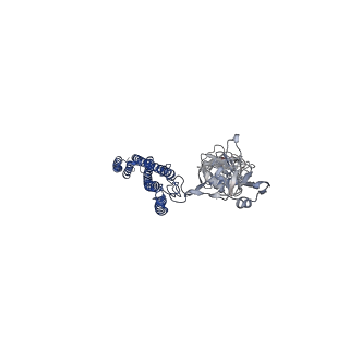 25382_7sqd_p_v1-1
Cryo-EM structure of the Achromobacter flagellar filament