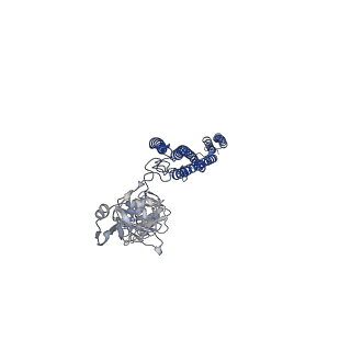 25382_7sqd_u_v1-1
Cryo-EM structure of the Achromobacter flagellar filament