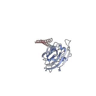 25383_7sqf_B_v1-0
Structure of the human proton-activated chloride channel ASOR in activated conformation