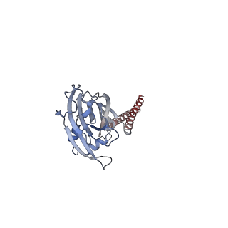 25383_7sqf_C_v1-0
Structure of the human proton-activated chloride channel ASOR in activated conformation