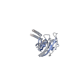 25384_7sqg_B_v1-0
Structure of the human proton-activated chloride channel ASOR in resting conformation