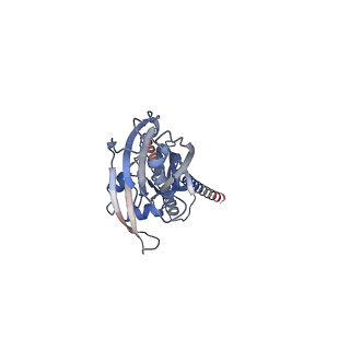 25385_7sqh_C_v1-0
Structure of the human proton-activated chloride channel ASOR in desensitized conformation