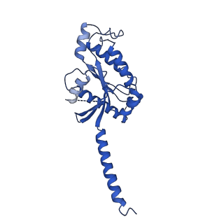 25389_7sqo_A_v1-1
Structure of the orexin-2 receptor(OX2R) bound to TAK-925, Gi and scFv16