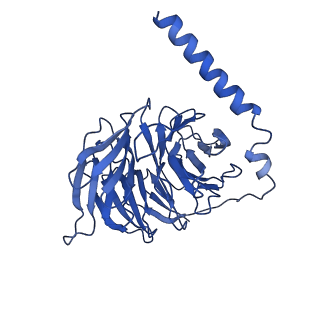 25389_7sqo_B_v1-1
Structure of the orexin-2 receptor(OX2R) bound to TAK-925, Gi and scFv16