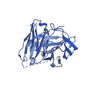 25389_7sqo_E_v1-1
Structure of the orexin-2 receptor(OX2R) bound to TAK-925, Gi and scFv16