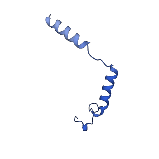 25389_7sqo_G_v1-1
Structure of the orexin-2 receptor(OX2R) bound to TAK-925, Gi and scFv16