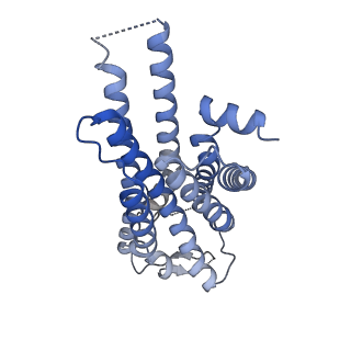 25389_7sqo_R_v1-1
Structure of the orexin-2 receptor(OX2R) bound to TAK-925, Gi and scFv16