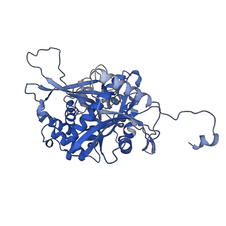 25391_7sqr_A_v1-2
201phi2-1 Chimallin localized tetramer reconstruction