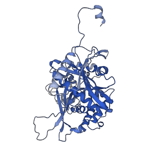 25391_7sqr_D_v1-2
201phi2-1 Chimallin localized tetramer reconstruction