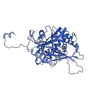 25391_7sqr_G_v1-2
201phi2-1 Chimallin localized tetramer reconstruction