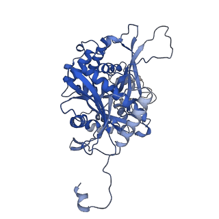 25391_7sqr_J_v1-2
201phi2-1 Chimallin localized tetramer reconstruction