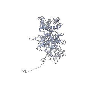 25394_7sqt_L_v1-2
Goslar chimallin cubic (O, 24mer) assembly