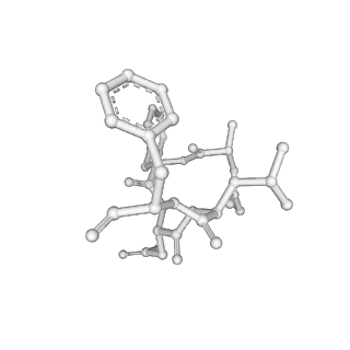 25395_7squ_C_v1-2
Goslar chimallin C4 tetramer localized reconstruction