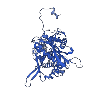 25395_7squ_D_v1-2
Goslar chimallin C4 tetramer localized reconstruction