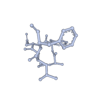 25395_7squ_L_v1-2
Goslar chimallin C4 tetramer localized reconstruction