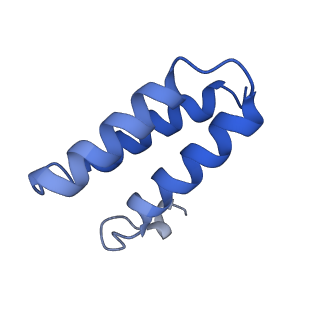 40699_8sq9_C_v1-0
SARS-CoV-2 replication-transcription complex bound to nsp9 and UMPCPP, as a pre-catalytic NMPylation intermediate