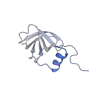 40699_8sq9_G_v1-0
SARS-CoV-2 replication-transcription complex bound to nsp9 and UMPCPP, as a pre-catalytic NMPylation intermediate