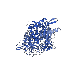 40707_8sqj_A_v1-0
SARS-CoV-2 replication-transcription complex bound to RNA-nsp9, as a noncatalytic RNA-nsp9 binding mode