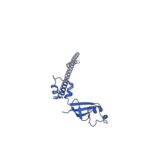 40707_8sqj_B_v1-0
SARS-CoV-2 replication-transcription complex bound to RNA-nsp9, as a noncatalytic RNA-nsp9 binding mode