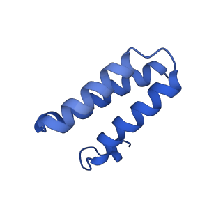 40707_8sqj_C_v1-0
SARS-CoV-2 replication-transcription complex bound to RNA-nsp9, as a noncatalytic RNA-nsp9 binding mode