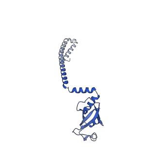 40707_8sqj_D_v1-0
SARS-CoV-2 replication-transcription complex bound to RNA-nsp9, as a noncatalytic RNA-nsp9 binding mode