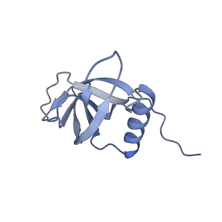 40707_8sqj_G_v1-0
SARS-CoV-2 replication-transcription complex bound to RNA-nsp9, as a noncatalytic RNA-nsp9 binding mode