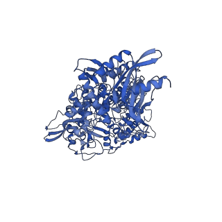 40708_8sqk_A_v1-0
SARS-CoV-2 replication-transcription complex bound to RNA-nsp9 and GDP-betaS, as a pre-catalytic deRNAylation/mRNA capping intermediate