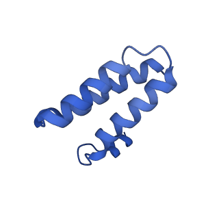 40708_8sqk_C_v1-0
SARS-CoV-2 replication-transcription complex bound to RNA-nsp9 and GDP-betaS, as a pre-catalytic deRNAylation/mRNA capping intermediate