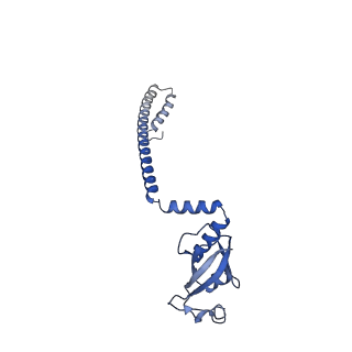40708_8sqk_D_v1-0
SARS-CoV-2 replication-transcription complex bound to RNA-nsp9 and GDP-betaS, as a pre-catalytic deRNAylation/mRNA capping intermediate